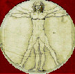 devinci-1.gif